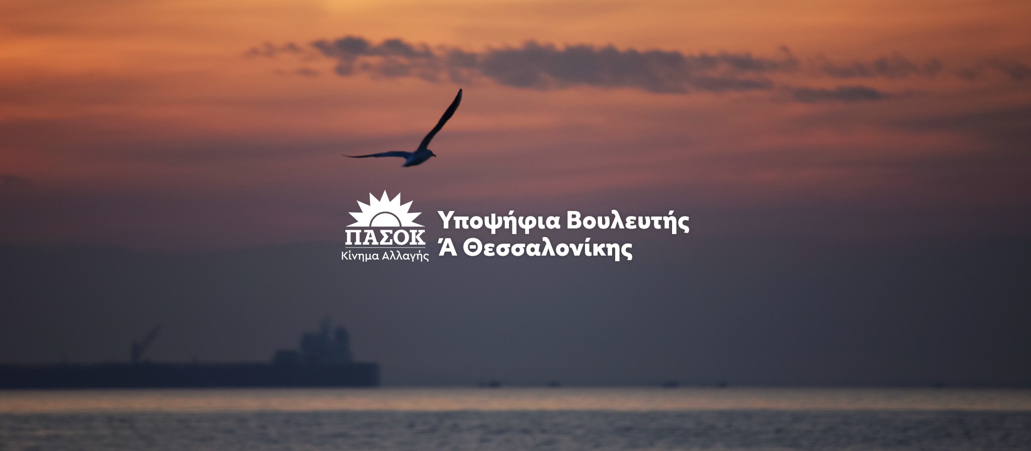 Υποψήφια Βουλευτής Α’ Θεσσαλονίκης ΠΑΣΟΚ - Κίνημα Αλλαγής